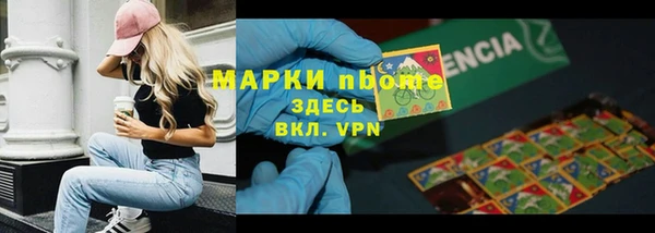 крисы Ельня