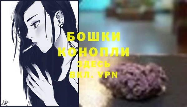 PSILOCYBIN Елизово