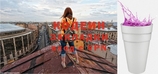 крисы Ельня