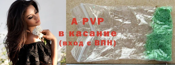 PSILOCYBIN Елизово