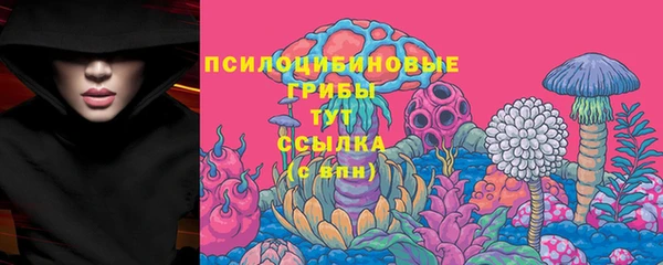 первитин Осташков